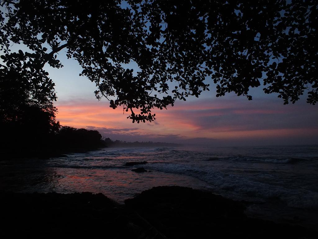 Cabinas Caribe Luna Cahuita Exterior foto