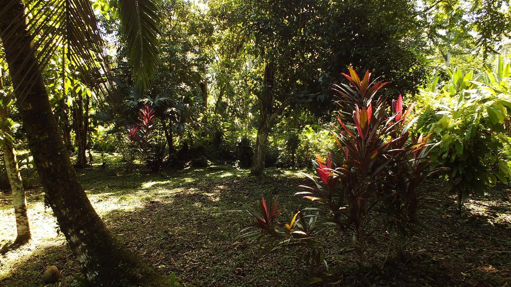 Cabinas Caribe Luna Cahuita Exterior foto