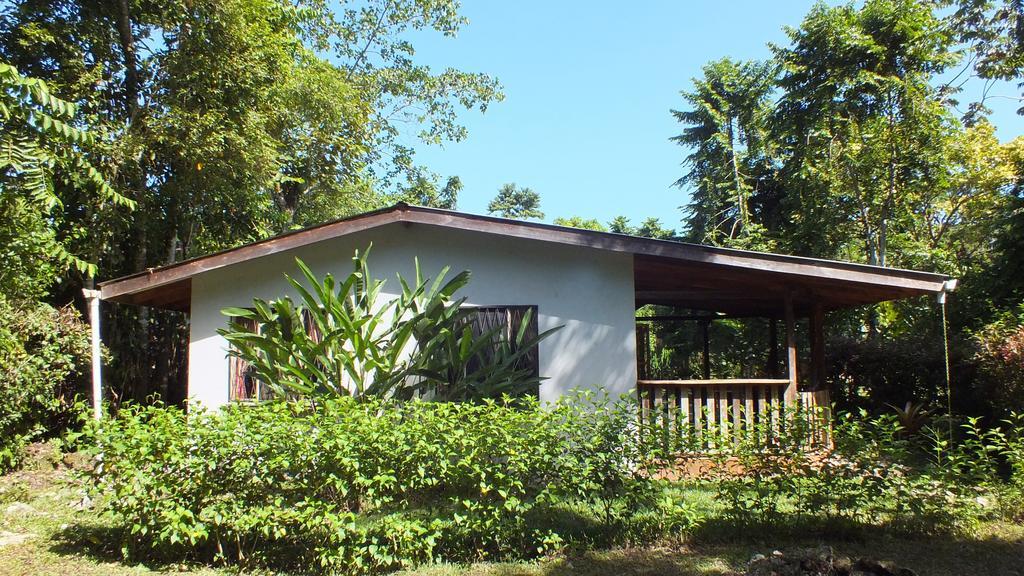 Cabinas Caribe Luna Cahuita Exterior foto